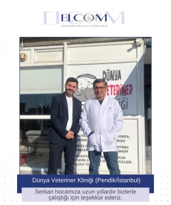 Dünya Veteriner Kliniği görseli