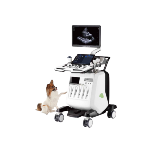 VINNO D650 Veterinary Ultrasound System